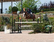 DEL CISTIA DEAUVILLE CampITA2013- S5 0583 : Campionati Italiani 2013, Cattolica, DEAUVILLE B.B., DEL CISTIA MARCO, Horse Riviera Resort, foto di Stefano Secchi ©